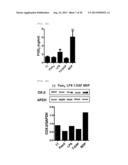  Pharmaceutical Composition Comprising Stem Cells Treated with NOD2     Agonist or Culture Thereof for Prevention and Treatment of Immune     Disorders and Inflammatory Diseases  diagram and image