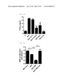  Pharmaceutical Composition Comprising Stem Cells Treated with NOD2     Agonist or Culture Thereof for Prevention and Treatment of Immune     Disorders and Inflammatory Diseases  diagram and image