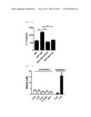  Pharmaceutical Composition Comprising Stem Cells Treated with NOD2     Agonist or Culture Thereof for Prevention and Treatment of Immune     Disorders and Inflammatory Diseases  diagram and image