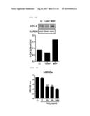  Pharmaceutical Composition Comprising Stem Cells Treated with NOD2     Agonist or Culture Thereof for Prevention and Treatment of Immune     Disorders and Inflammatory Diseases  diagram and image