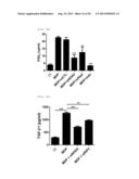  Pharmaceutical Composition Comprising Stem Cells Treated with NOD2     Agonist or Culture Thereof for Prevention and Treatment of Immune     Disorders and Inflammatory Diseases  diagram and image