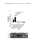  Pharmaceutical Composition Comprising Stem Cells Treated with NOD2     Agonist or Culture Thereof for Prevention and Treatment of Immune     Disorders and Inflammatory Diseases  diagram and image