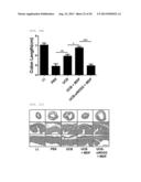  Pharmaceutical Composition Comprising Stem Cells Treated with NOD2     Agonist or Culture Thereof for Prevention and Treatment of Immune     Disorders and Inflammatory Diseases  diagram and image