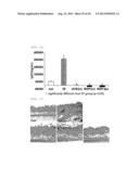  Pharmaceutical Composition Comprising Stem Cells Treated with NOD2     Agonist or Culture Thereof for Prevention and Treatment of Immune     Disorders and Inflammatory Diseases  diagram and image