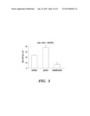 METHODS FOR PROMOTING HEMATOPOIETIC RECONSTITUTION diagram and image