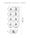 METHODS FOR PROMOTING HEMATOPOIETIC RECONSTITUTION diagram and image