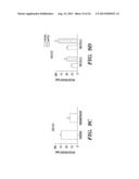 METHODS FOR PROMOTING HEMATOPOIETIC RECONSTITUTION diagram and image