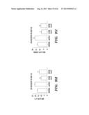 METHODS FOR PROMOTING HEMATOPOIETIC RECONSTITUTION diagram and image