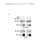 METHODS AND KITS USED IN IDENTIFYING GLIOBLASTOMA diagram and image