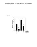 METHODS AND KITS USED IN IDENTIFYING GLIOBLASTOMA diagram and image