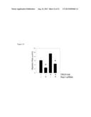 METHODS AND KITS USED IN IDENTIFYING GLIOBLASTOMA diagram and image