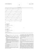 METHODS AND KITS USED IN IDENTIFYING GLIOBLASTOMA diagram and image