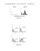 DC-STAMP ANTIBODIES diagram and image