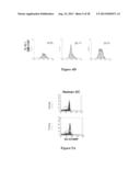 DC-STAMP ANTIBODIES diagram and image