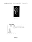 DC-STAMP ANTIBODIES diagram and image