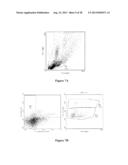 DC-STAMP ANTIBODIES diagram and image