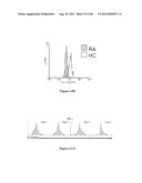 DC-STAMP ANTIBODIES diagram and image