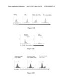 DC-STAMP ANTIBODIES diagram and image