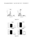 DC-STAMP ANTIBODIES diagram and image