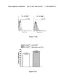 DC-STAMP ANTIBODIES diagram and image