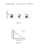 DC-STAMP ANTIBODIES diagram and image