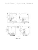 DC-STAMP ANTIBODIES diagram and image