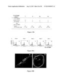 DC-STAMP ANTIBODIES diagram and image