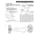 ALUMINA NANOPARTICLE BIOCONJUGATES AND METHODS OF STIMULATING AN IMMUNE     RESPONSE USING SAID BIOCONJUGATES diagram and image