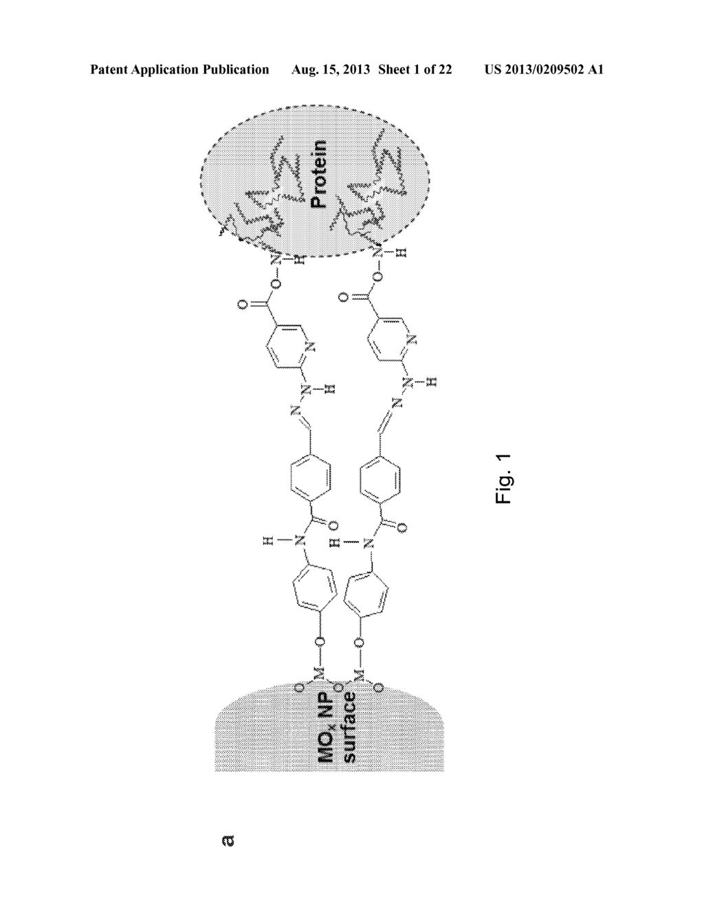 ALUMINA NANOPARTICLE BIOCONJUGATES AND METHODS OF STIMULATING AN IMMUNE     RESPONSE USING SAID BIOCONJUGATES - diagram, schematic, and image 02