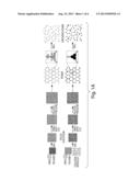 FOAMS, INCLUDING MICROCELLULAR FOAMS, CONTAINING COLLOIDAL PARTICULATES diagram and image