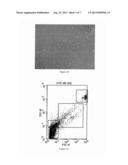 MICROVESICLES CARRYING SMALL INTERFERING RNAS, PREPARATION METHODS AND     USES THEREOF diagram and image