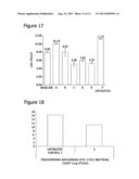 Plant Extract Based Compositions and Methods For Treating Chronic Wounds diagram and image