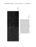 RIBBED FILM STRUCTURES WITH PIGMENT CREATED VISUAL CHARACTERISTICS diagram and image