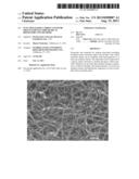 Functionalized Carbon Nanotube Sheets for Electrochemical Biosensors and     Methods diagram and image