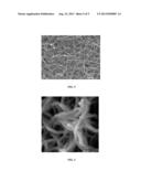 Functionalized Carbon Nanotube Sheets for Electrochemical Biosensors and     Methods diagram and image