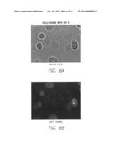 FLUORESCENT DYES diagram and image