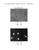 FLUORESCENT DYES diagram and image