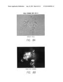 FLUORESCENT DYES diagram and image