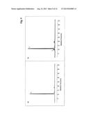 CONJUGATE BETWEEN A THIOPHILIC SOLID PHASE AND AN OLIGONUCLEOTIDE     COMPRISING A THIOOXONUCLEOTIDE diagram and image