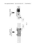 RAPID SALMONELLA SEROTYPING ASSAY diagram and image