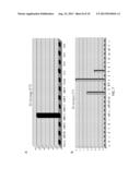 RAPID SALMONELLA SEROTYPING ASSAY diagram and image