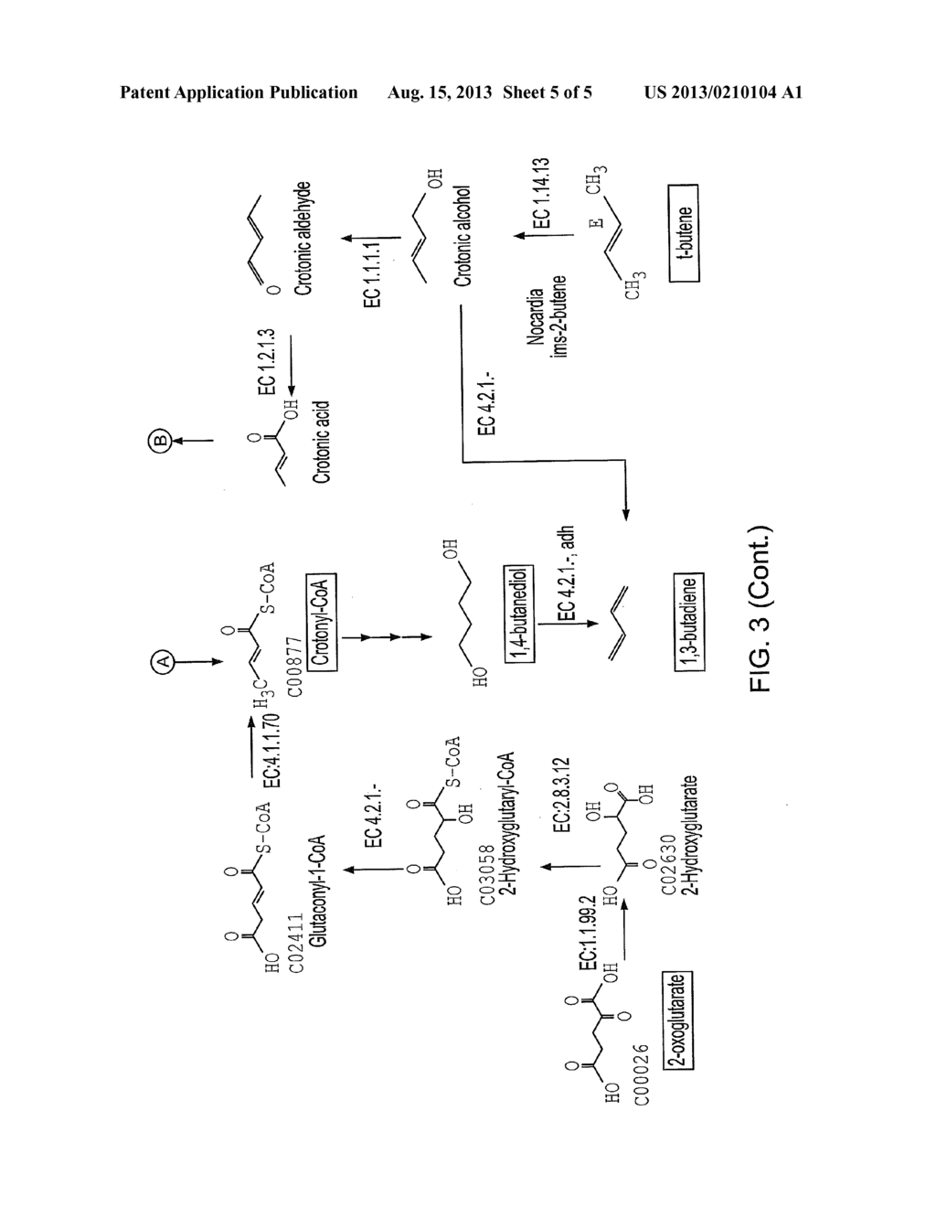 METHODS OF PRODUCING FOUR CARBON MOLECULES - diagram, schematic, and image 06