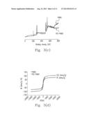 Hybrid Superparamagnetic Iron Oxide Nanoparticles and Polyethylenimine as     a Magnetocomplex for Gene Transfection diagram and image