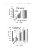 Hybrid Superparamagnetic Iron Oxide Nanoparticles and Polyethylenimine as     a Magnetocomplex for Gene Transfection diagram and image