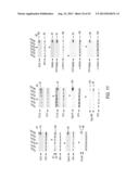 siRNA Targeting Myeloid Differentiation Primary Response Gene (88) (MYD88) diagram and image