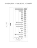 siRNA Targeting Myeloid Differentiation Primary Response Gene (88) (MYD88) diagram and image