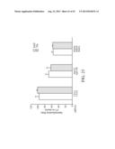 siRNA Targeting Myeloid Differentiation Primary Response Gene (88) (MYD88) diagram and image