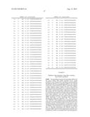 siRNA Targeting Myeloid Differentiation Primary Response Gene (88) (MYD88) diagram and image