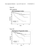 REAGENTS AND METHODS FOR USE IN CANCER DIAGNOSIS, CLASSIFICATION AND     THERAPY diagram and image