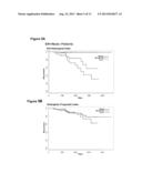 REAGENTS AND METHODS FOR USE IN CANCER DIAGNOSIS, CLASSIFICATION AND     THERAPY diagram and image